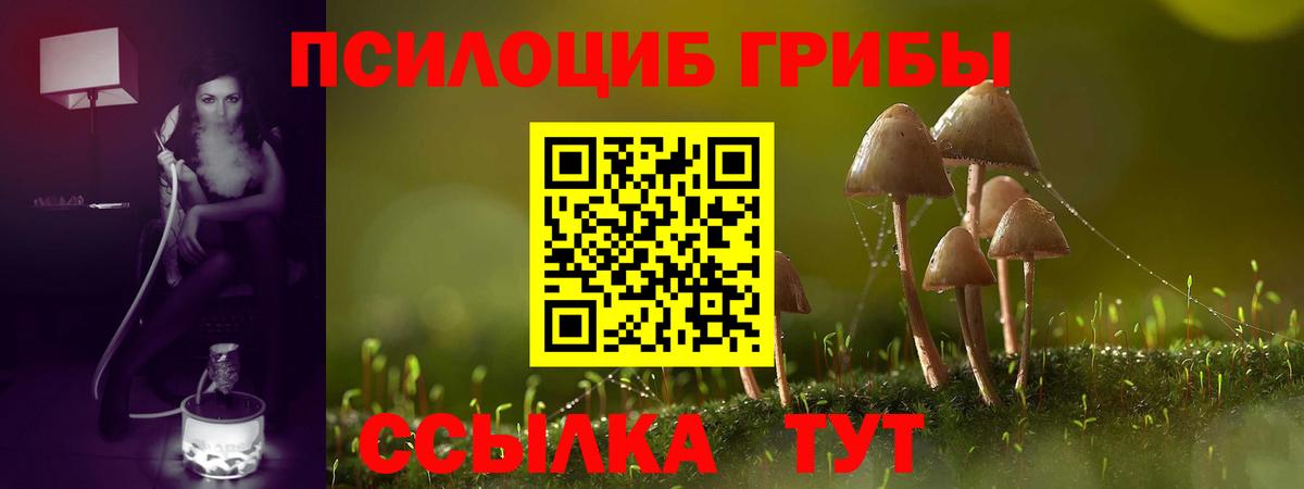 Псилоцибиновые грибы Cubensis  Вход с VPN  Псилоцибиновые грибы GOLDEN TEACHER  Новотроицк 
